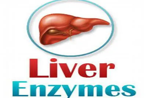 تسعة أسباب تؤدي إلى ارتفاع إنزيمات الكبد